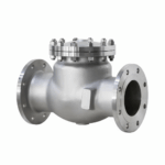 Válvula de retención de acero forjado