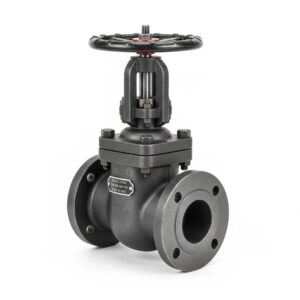 Válvula de globo de acero forjado